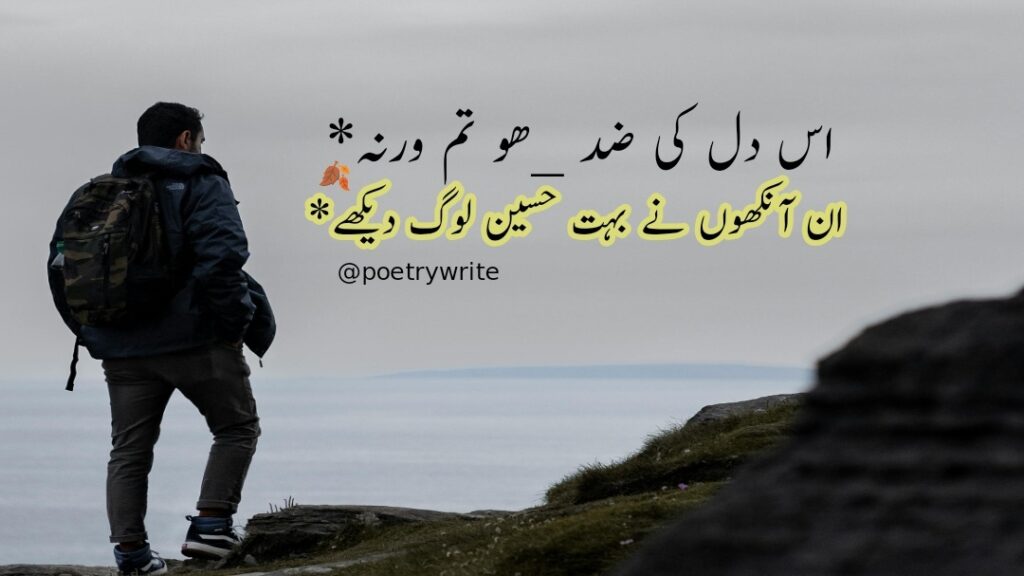 300+New Heart Touching Sad Poetry In Urdu 2 lines Text 