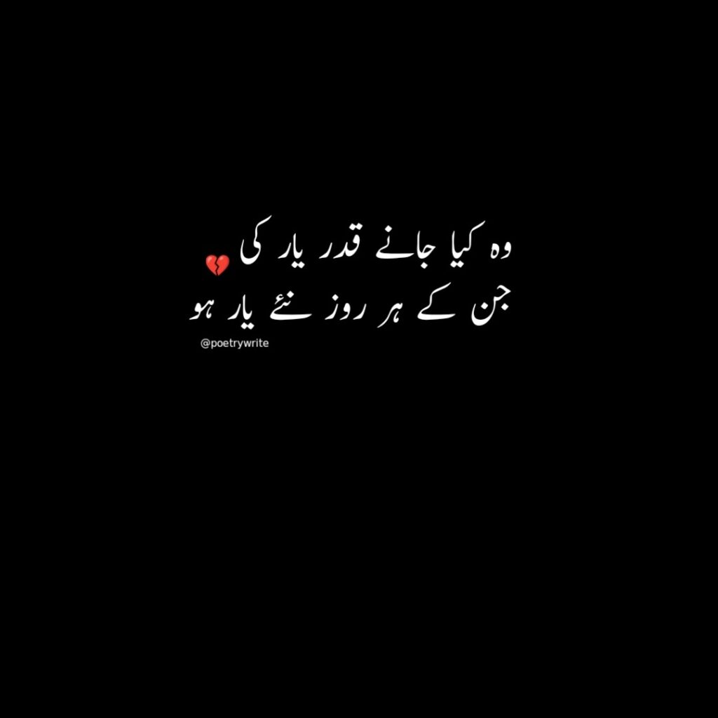 Top 30 Best Sad Shayari in Urdu Text Copy Paste