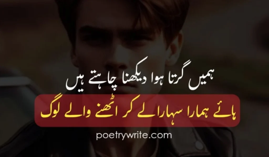 Attitude Poetry About Fake People