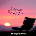 500+ New Sad Poetry In Urdu 2 Lines Collection