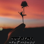 10+New 2 Line Urdu Poetry Romantic Sms