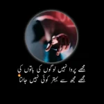 50+Attitude Poetry In Urdu |Best Attitude Shayari