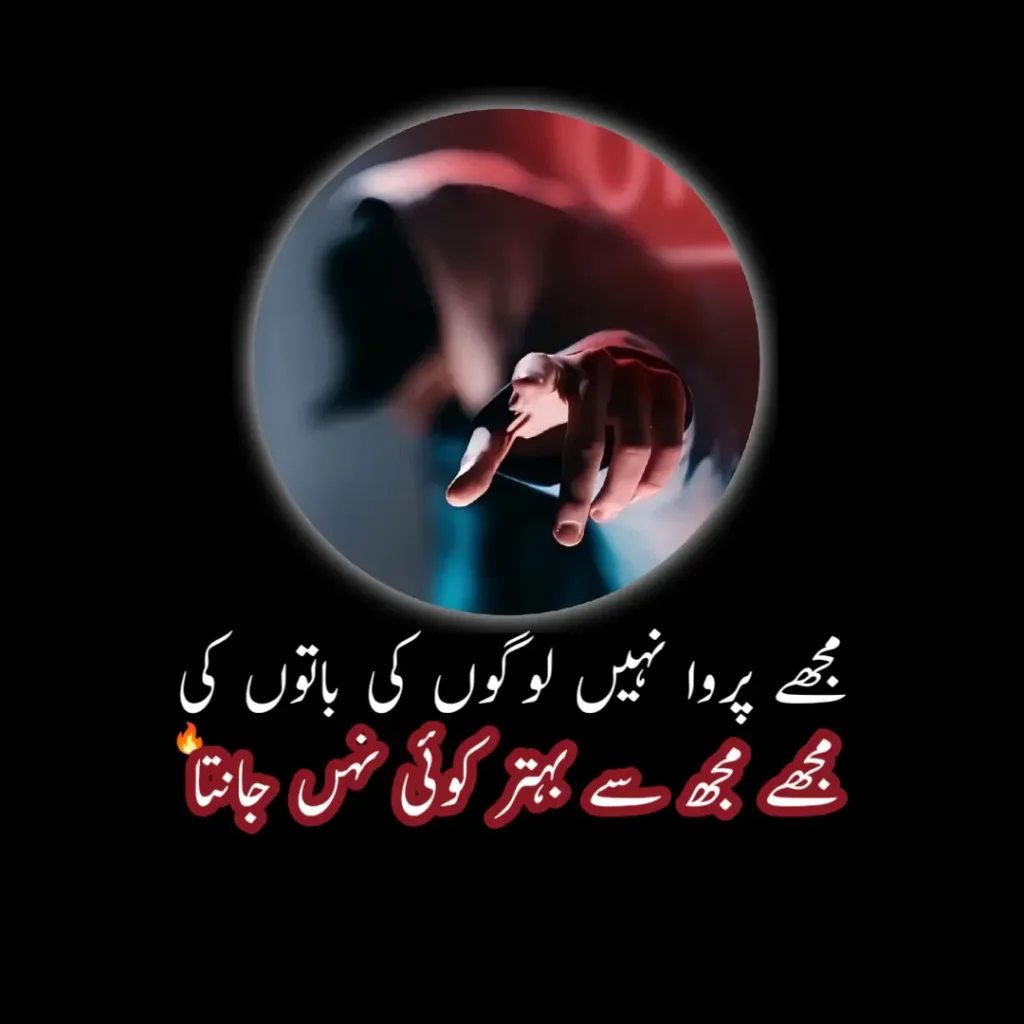 50+Attitude Poetry In Urdu |Poetry In Urdu Attitude