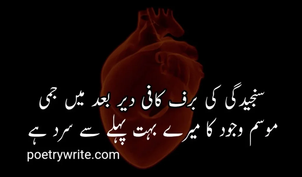 Sad Death Poetry In Urdu Text Copy Paste 