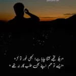 Sad Quotes In Urdu About Love And Life