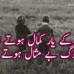 50+About Friendship Poetry In Urdu |Dosti Poetry