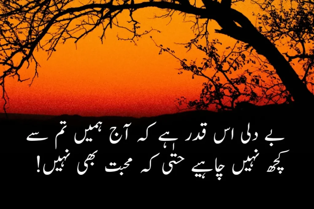 Heart Touching Sad Poetry In Urdu (Copy Paste