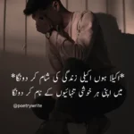 100+ Sad Poetry In Urdu | Urdu Sad Poetry Collection