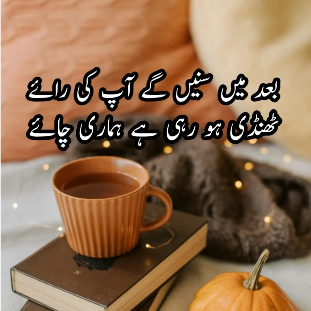 100+ Tea Poetry In Urdu -Chai Shayari