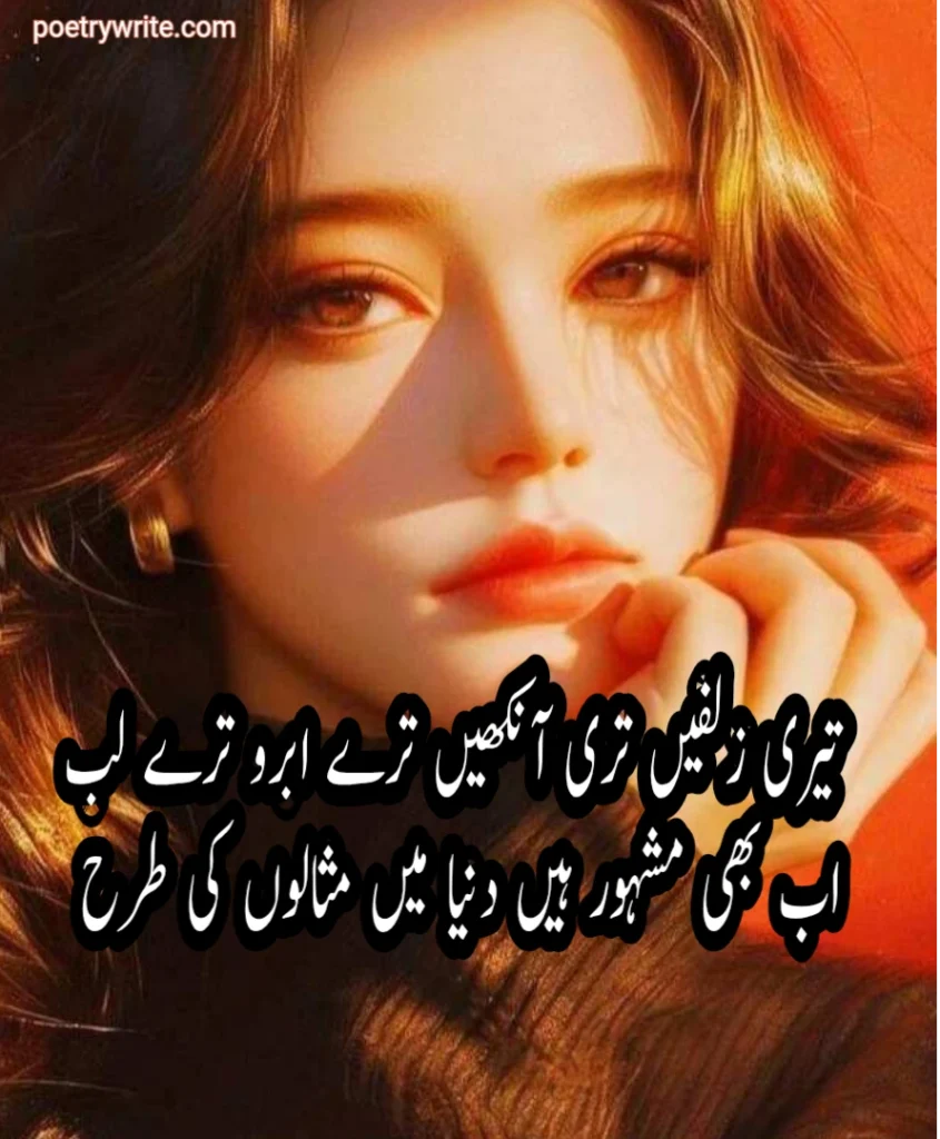 200+Best Poetry In Urdu Collection (Copy And Paste)