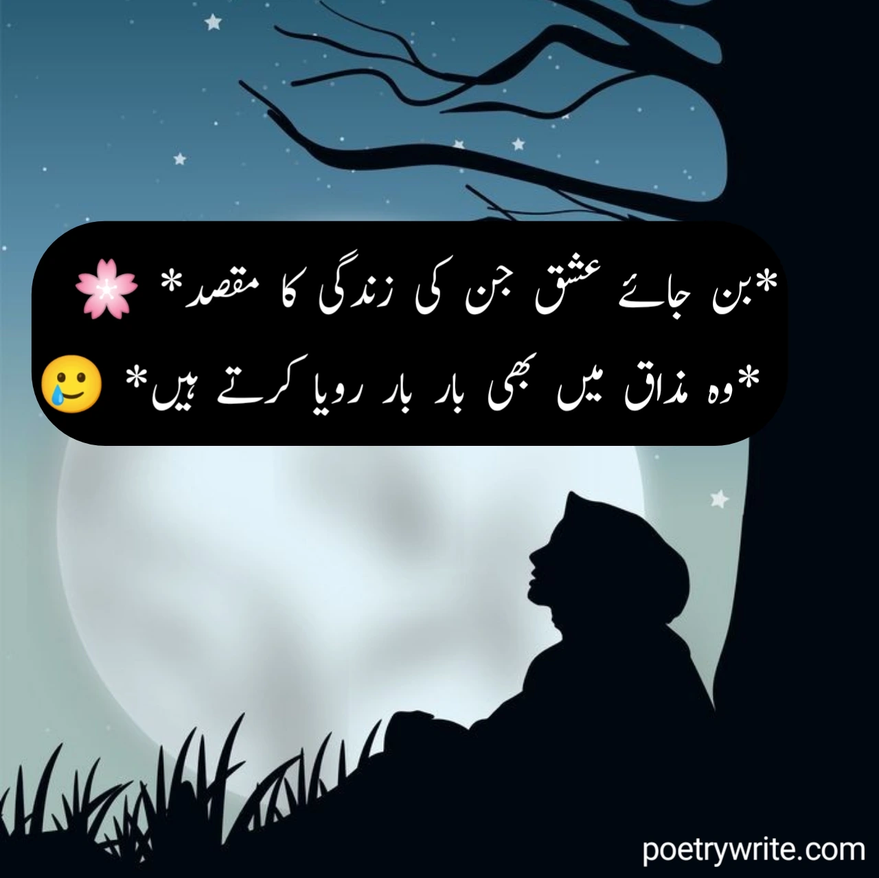 Sad Poetry Sad Poetry In Urdu Text (Sad Shayari In Urdu Text)