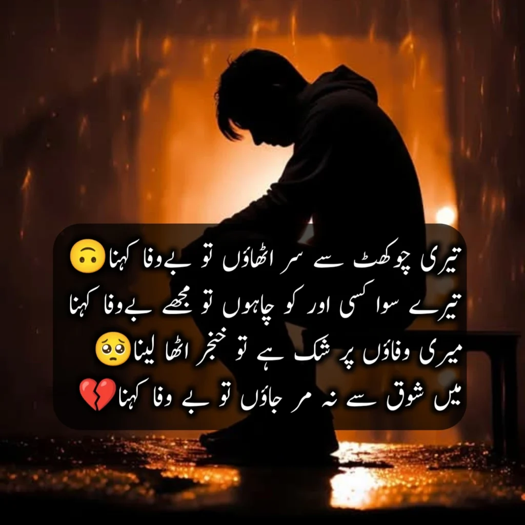 Bewafa Shayari In Urdu 2 Lines 