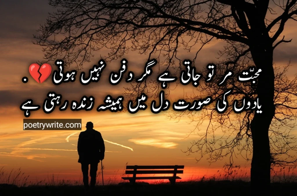 100+ Best Yaad Poetry In Urdu Text Collection