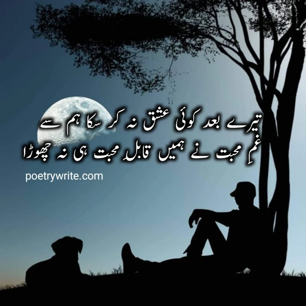 Ishq / Love Poetry (2 Lines)