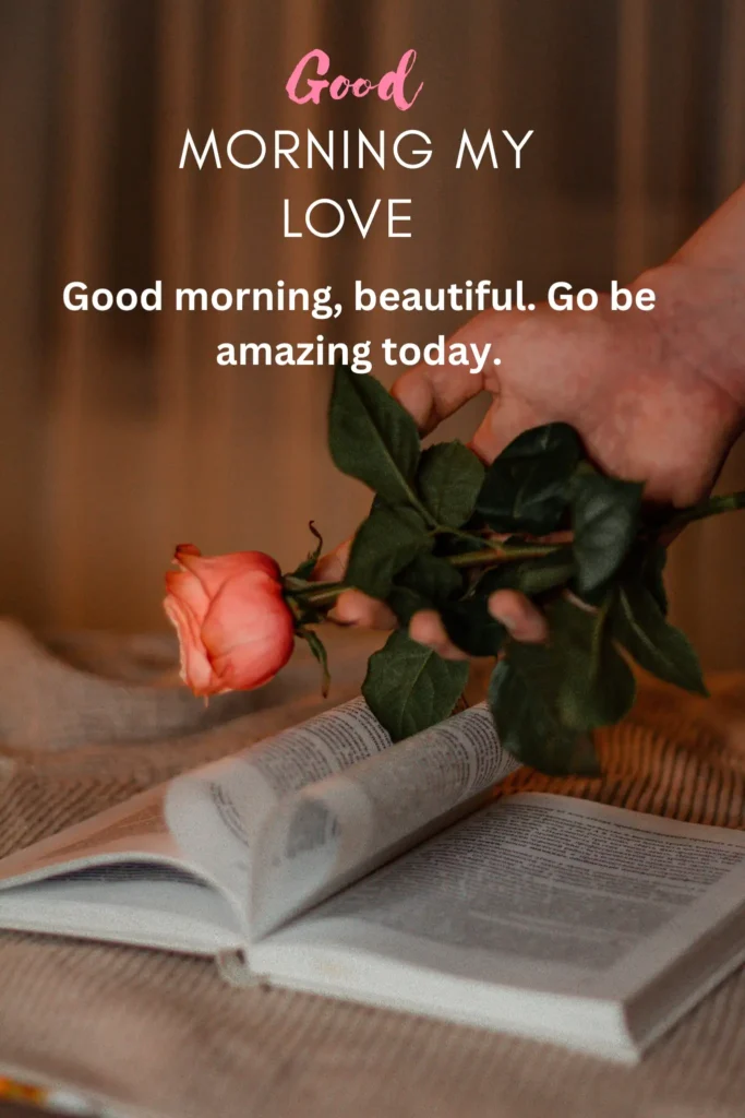 Good Morning Text Message to My Love (SMS-Friendly)