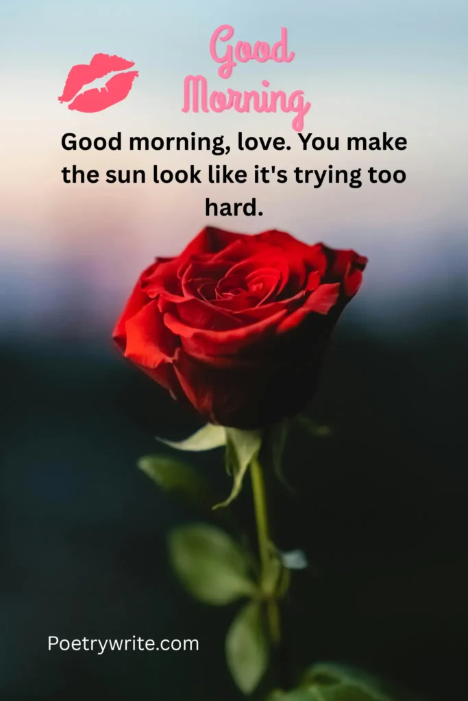 Beautiful / Lovely / Sweet Good Morning Message to My Love