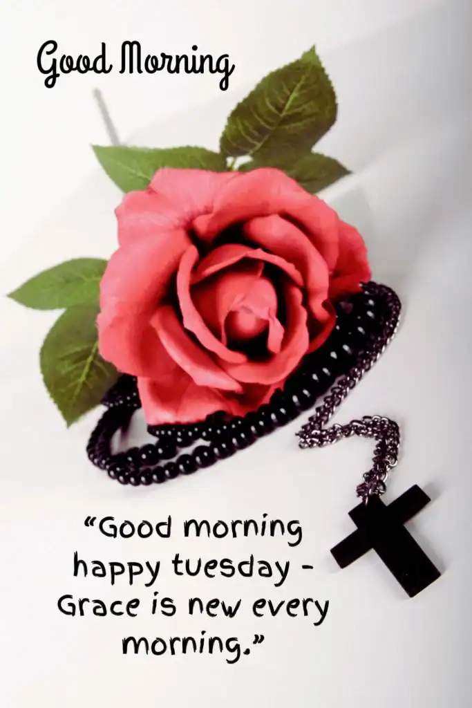 good morning happy tuesday, tuesday morning blessings