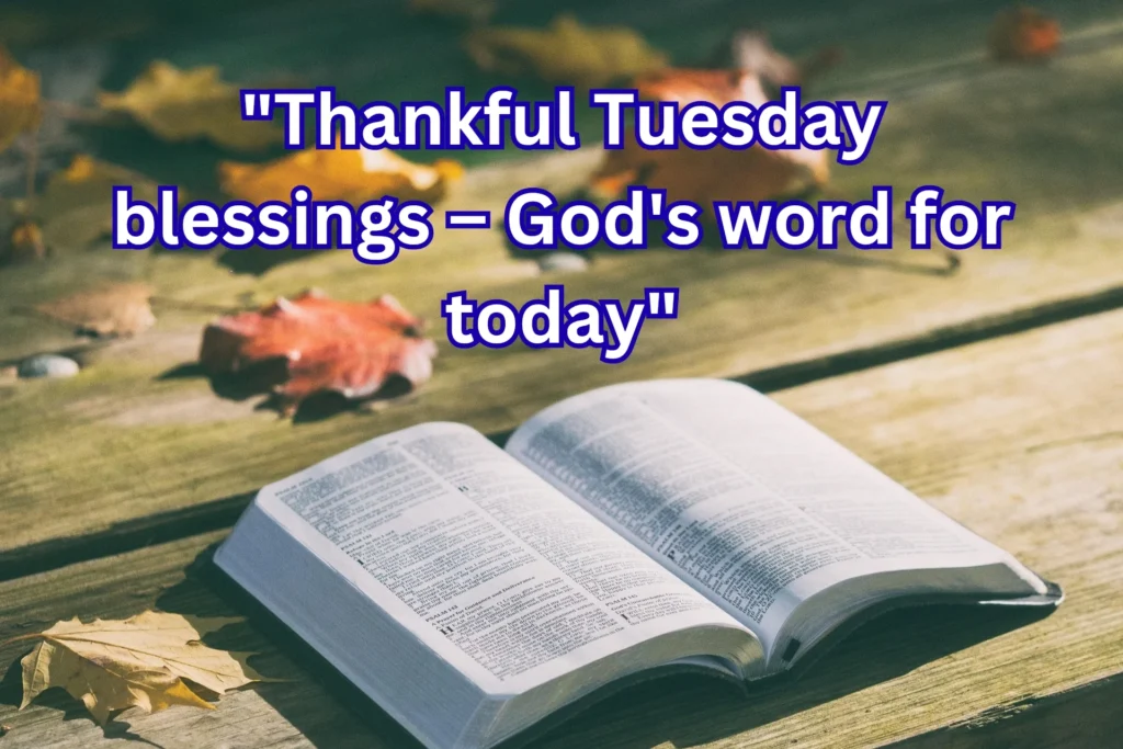 220+ Thankful Tuesday Blessings, Images & Bible Verses for a Joyful Morning
