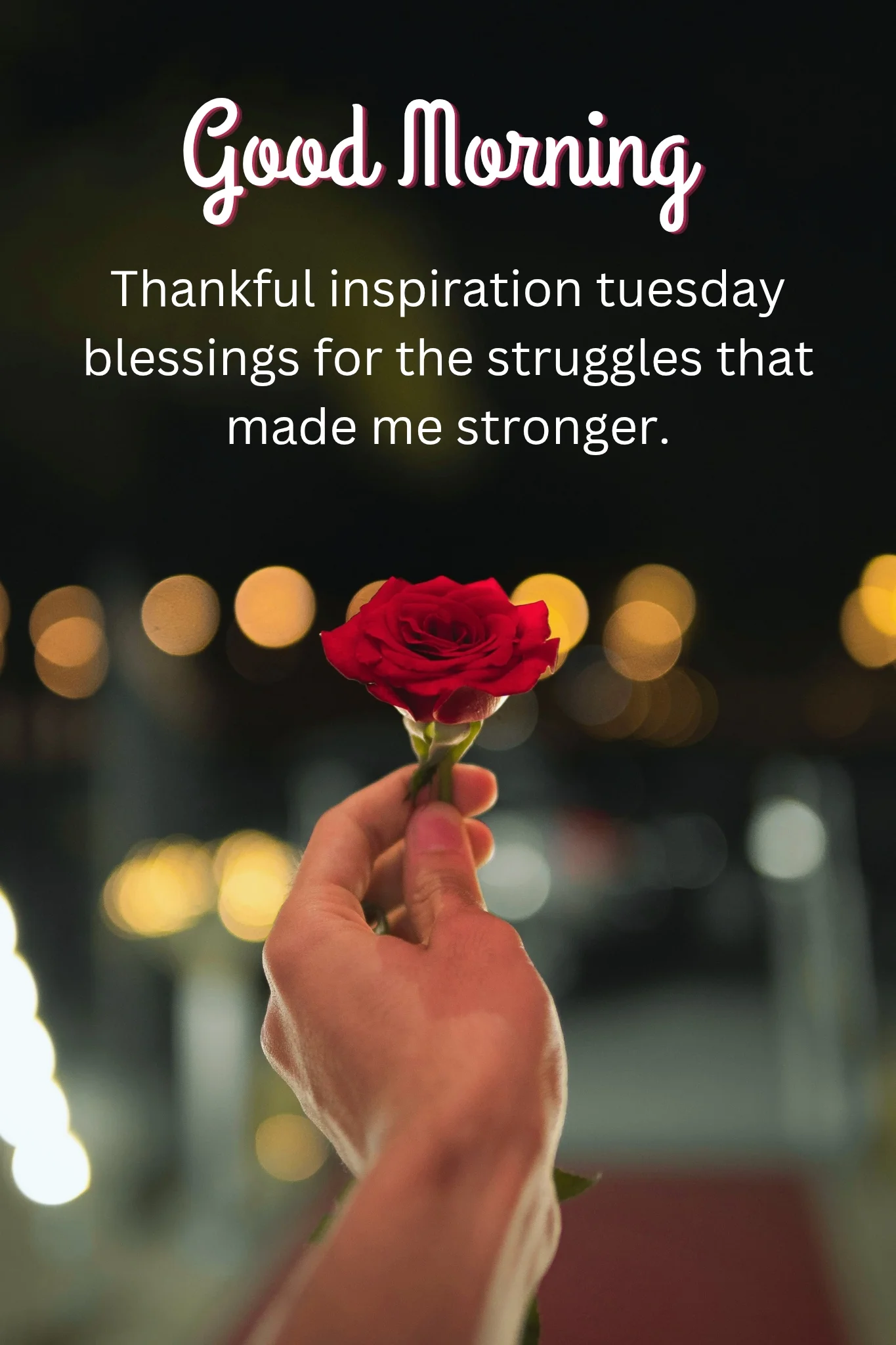 220+ Thankful Tuesday Blessings, Images & Bible Verses for a Joyful Morning
