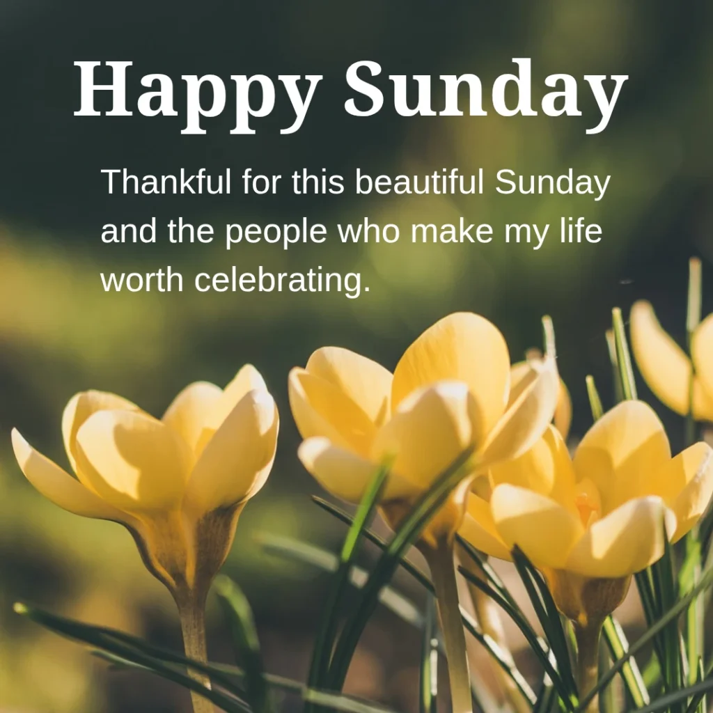 good morning happy sunday images
