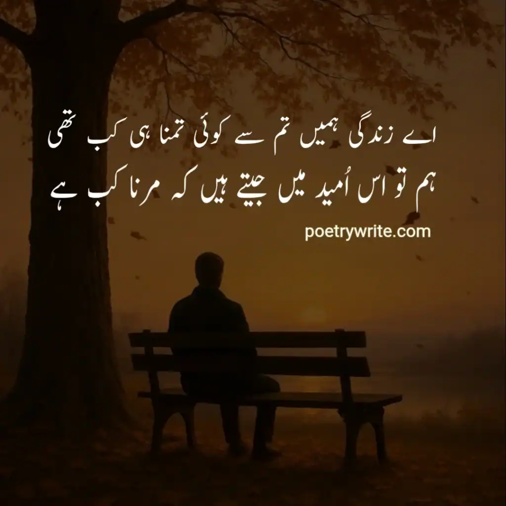 170+ Zindagi Poetry in Urdu: Deep 2‑Line Shayari About Life (Copy Paste)