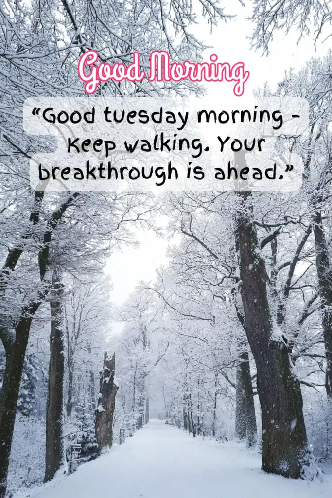 Snowy forest path with inspirational Tuesday morning quote.